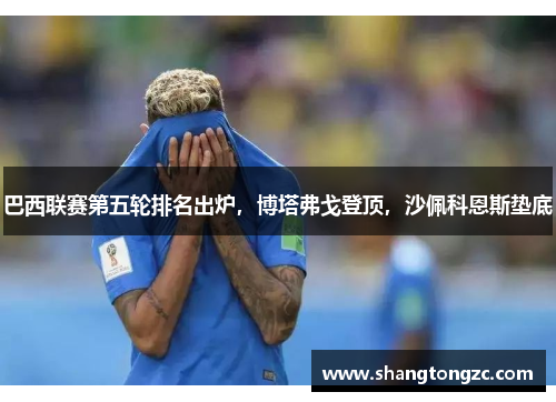 巴西联赛第五轮排名出炉，博塔弗戈登顶，沙佩科恩斯垫底
