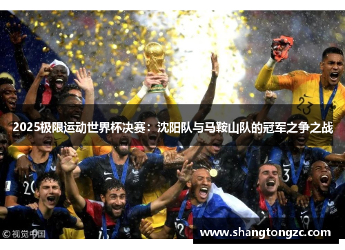 2025极限运动世界杯决赛：沈阳队与马鞍山队的冠军之争之战